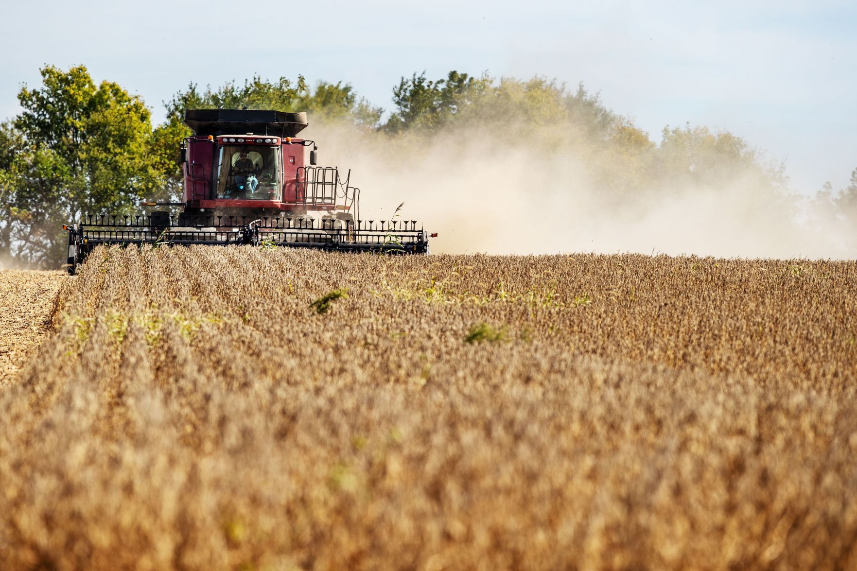 Harvest